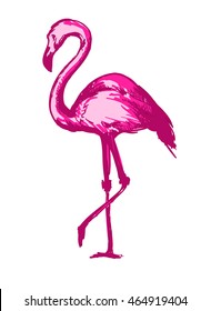 flamingo vector illustration