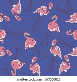 Flamingo - vector, illustration