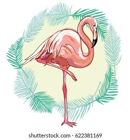 Flamingo - vector, illustration