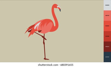 Flamingo vector illustration