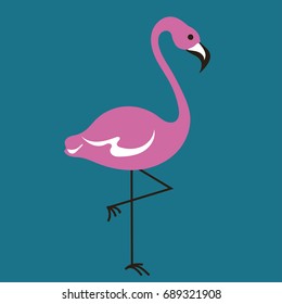 Flamingo vector illustration