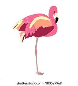 flamingo Vector Illustration . design element .Exotic bird isolated on white background