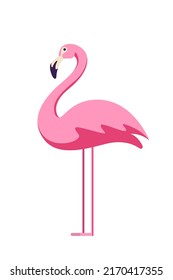 Flamingo .  Vektorgrafik eps10