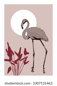 Flamingo vector illustration with exotic grass
