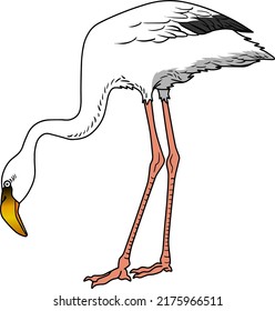 flamingo vector illustration isolated on white background