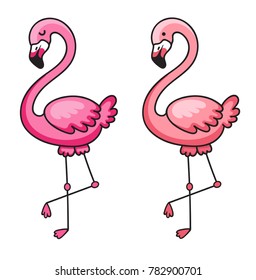 Flamingo. Vector illustration isolated on white background.