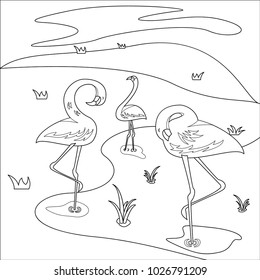 flamingo vector illustration, kids coloring book, isolated images