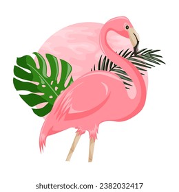 Flamingo vector illustration. Pink flamingo. Vector illustration