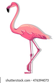 flamingo vector illustration, silhouette flamingo