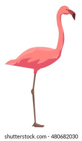 flamingo vector illustration, silhouette flamingo