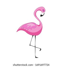 Flamingo vector illustration. Singl element