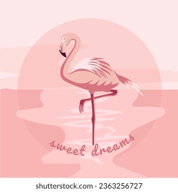 Flamingo. Ilustración vectorial. Dulces sueños. Flamingo rosa. Vacaciones de verano. Tarde de verano. Lago al atardecer.