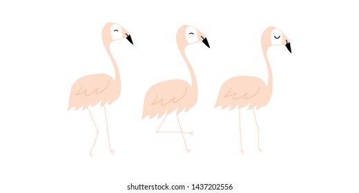 flamingo vector Illustration with white background. Great for wallpaper,backgrounds,gifts,packaging design projects, stationary,fabric