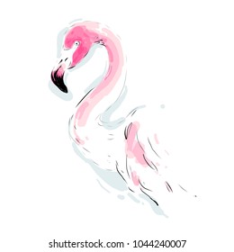 Flamingo vector isolated. Hand drawn wildlife bird illustration in watercolor style for greeting card design.