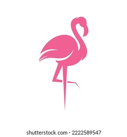 Flamingo Vector Logo Design Template