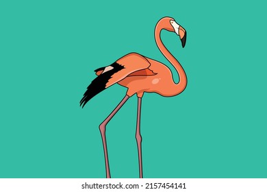 Flamingo vector, pelican, heron design, bird illustration. Orange and Black flamingo bird icon vector illustration for websites