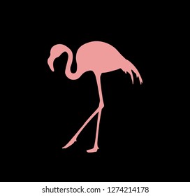 Flamingo Vector - Pink and Black