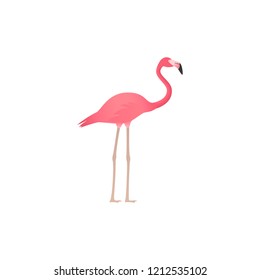 Flamingo. Vector. Pink tropical, exotic bird isolated in flat design. African fauna on white background. Zoo animal. Cartoon Illustration.
