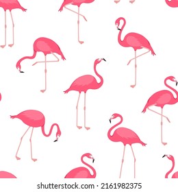 Patrón sin fisuras vectorial Flamingo, fondo de pájaro rosa, impresión de verano tropical. Papel tapizado de animales. Textura de moda de dibujos animados. Ilustración exótica