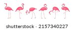 Flamingo vector set, cartoon pink tropical bird, summer animal icon, cute zoo character isolated on white background. Fashion fauna illustration