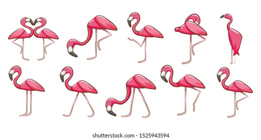 flamingo vector set clipart design