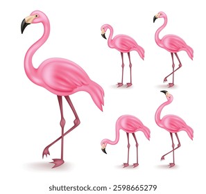 Flamingo vector set design. 3d flamingos in standing and walking gesture isolated in white background for summer and tropical wildlife animal collection. Vector illustration.
