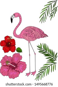 Flamingo vector set: pink flamingo, pink and red hibiscus and palm branches isolated elements on a white background for print. Beautiful pink flamingo will decorate any design idea