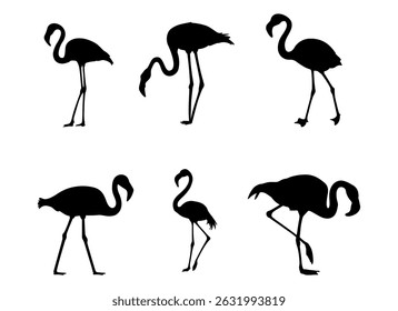 Silhueta do vetor de Flamingo. Silhueta preta de flamingo de ave tropical