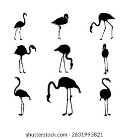 Flamingo vector silhouette. Black silhouette of tropical bird flamingo
