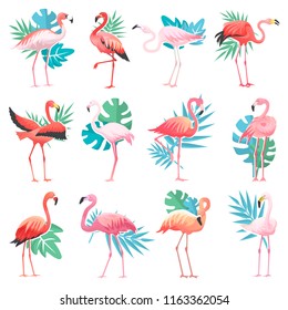 Flamingo vector tropical pink flamingos and exotic bird with palm leaves illustration set of fashion birdie isolated on white background