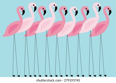 flamingo vector/illustration