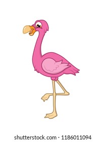 flamingo is very beautiful