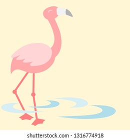 Flamingo walking in the pond