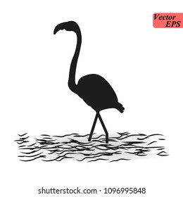 Flamingo walking in water. flamingo silhouettes on the white background