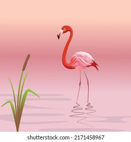 Flamingo en la ilustración del vector del agua