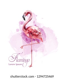 Flamingo in watercolor isolated Vector. Exotic bird cute poster templates