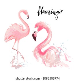 Flamingo watercolor isolated vector set. Hand drawn illustration for fashion greeting card design