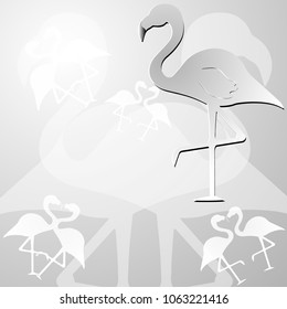 Flamingo white background