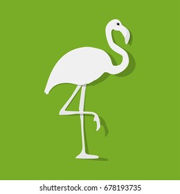 Flamingo white on a green background.