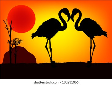 Flamingo in wild Africa. At Sundown
