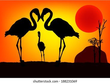 Flamingo in wild Africa. At Sundown