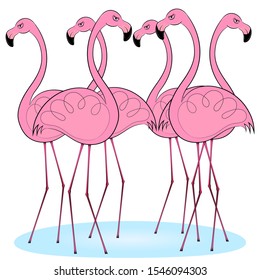 
flamingoes in group cute vector illustration.