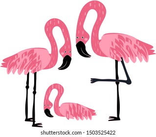 Flamingo.Pink Flamingo on white background.Vector illustration.