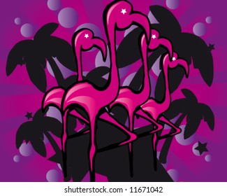 flamingos