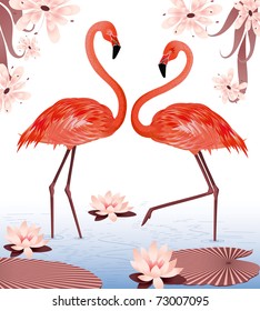 Flamingos