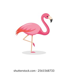 
Flamingos animal isolated flat vector illustration on white background