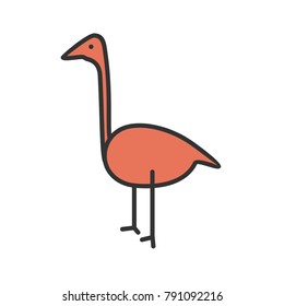 Flamingos, animal, summer