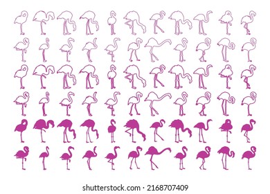 Plantilla de símbolo del vector de aves Flamingos. Esbozos. Lleno. Líneas. Accidente