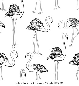 Flamingos black and white seamless pattern. Exotic wading birds in different postures. Detailed outline ink drawing. Feather, neck, beak, body, legs. Vector design illustration.