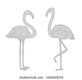 Flamingos. Cartoon birds. Image for polygraphy, t-shirts and textiles. Black and white illustration